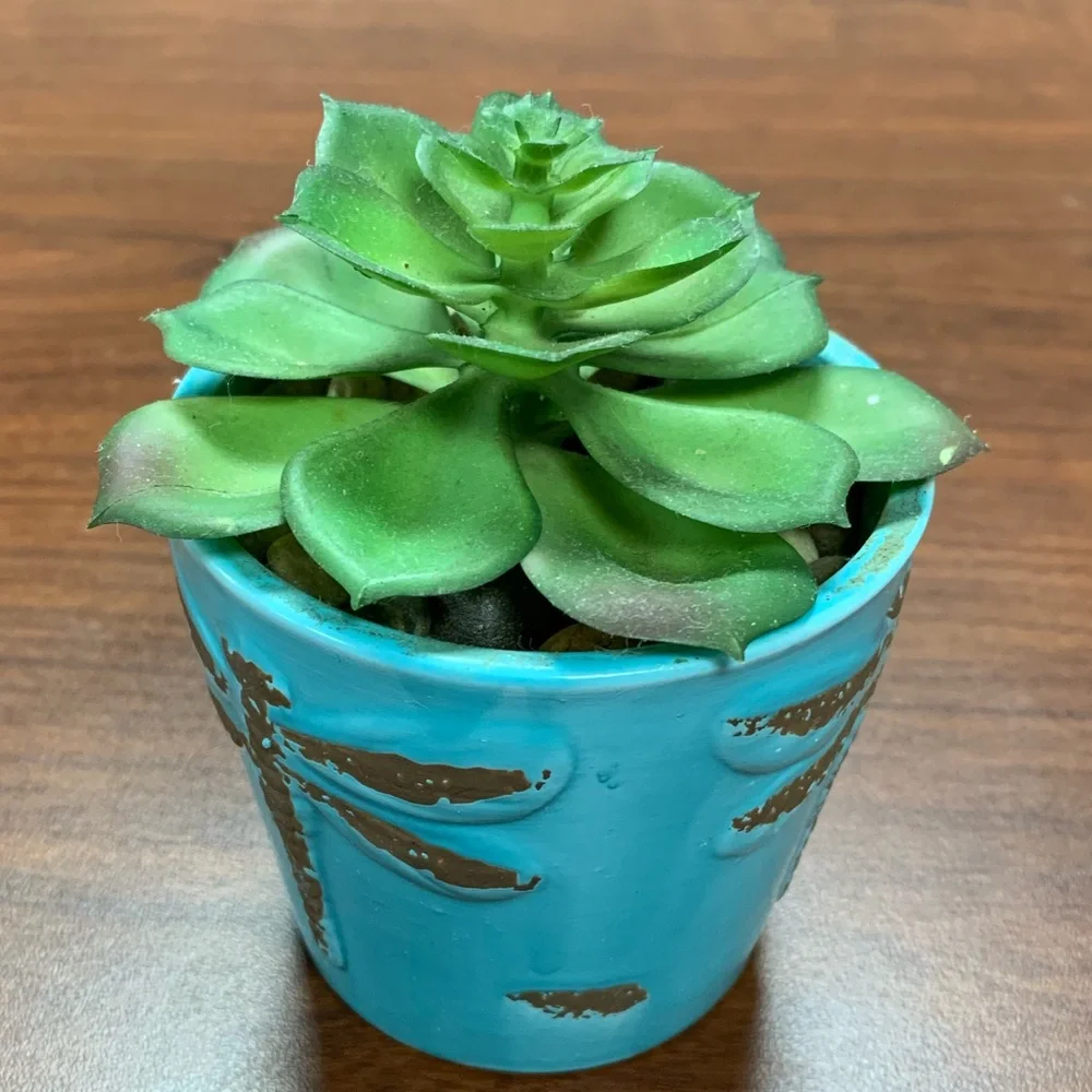 artificial Green Succulent in Blue Planter